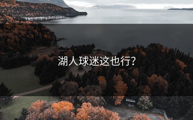 湖人球迷这也行? 湖人球迷这也行?